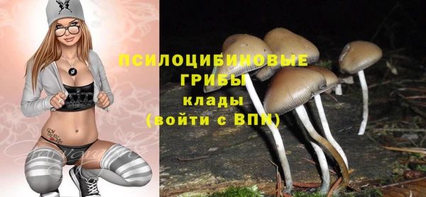 jwh Алзамай